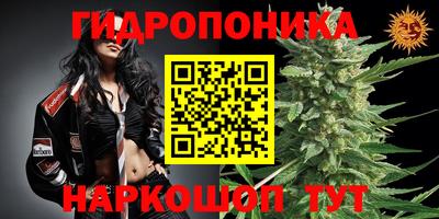 дживик Чапаевск