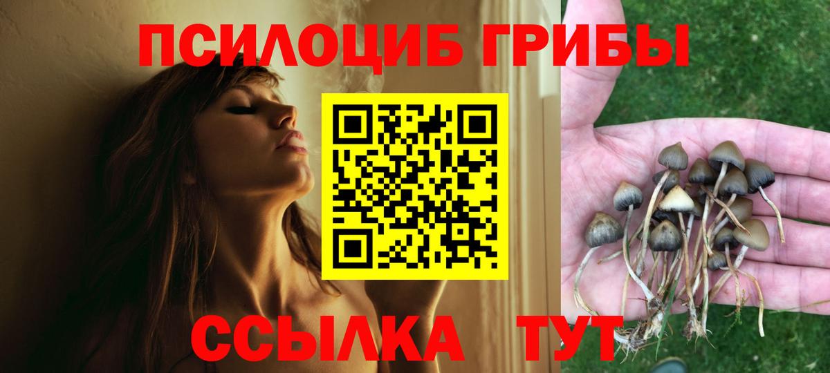 Галлюциногенные грибы Psilocybine cubensis Подольск